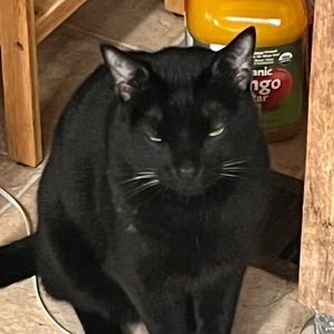 Meet your Posher, Ana giulia